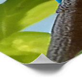 咲カラフルく枝に鳥 ポスター (角)