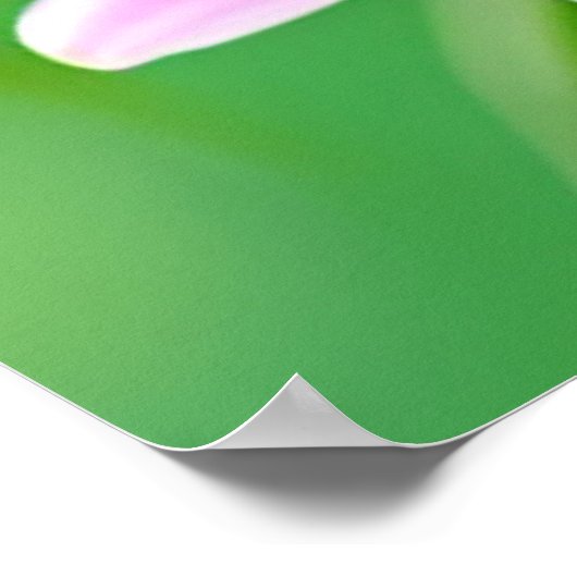 咲カラフルく枝に鳥 ポスター (角)