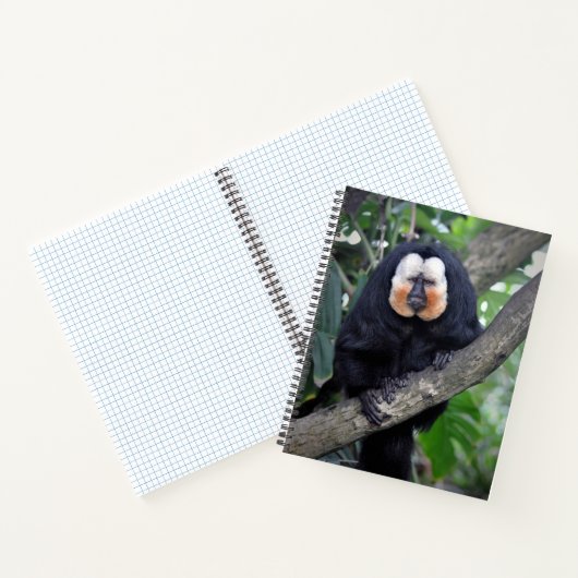 咲希 ノートブック (内部)