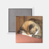 咳で眠るネコ赤 マグネット (正面/裏面)