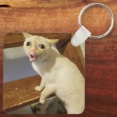 咳ネコミーム両面キーチェーン キーホルダー (裏面)