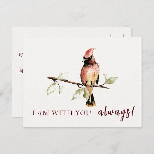 哀しみの時、いつもあなたと共に センチメンタル レッド カーディナル ポストカード (正面/裏面)
