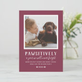 哀れなほど忘れられない年バーガンディ犬の写真 シーズンカード (スタンド正面)