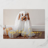 哀れな不気味ハロウィーンのペット写真 箔シーズンカード (正面)