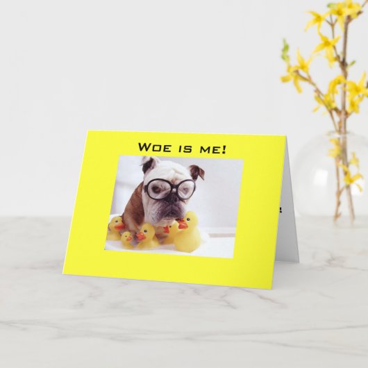 哀れよ君は四十 カード (黄色い花)