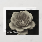 哀悼カード ポストカード (正面/裏面)