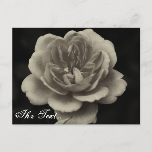 哀悼カード ポストカード (正面)