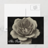 哀悼カード ポストカード (正面/裏面)