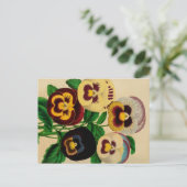 品揃えパンジーヴィンテージスケッチはがき ポストカード (スタンド正面)