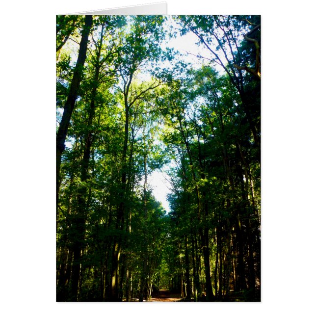 品行方正 (正面)