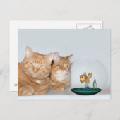 品質時間の共有 ポストカード (正面/裏面)