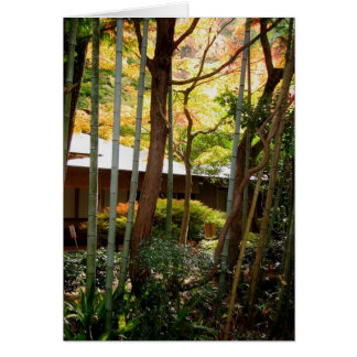 哲学者の道に沿って