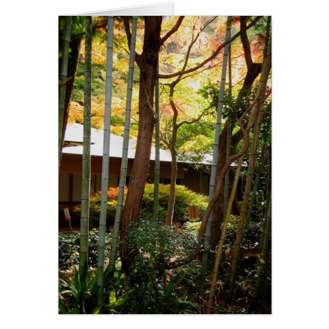 哲学者の道に沿って (正面)