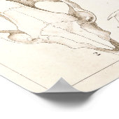 哺乳類の獣医解剖学スカルプリント ポスター (角)