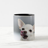 唇を舐めている白いチワワ ツートーンマグカップ (中央)