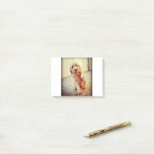 唇脚 ポストイット (デスク上)