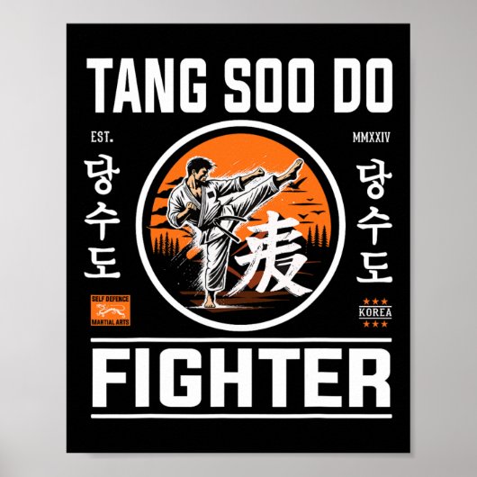唐秀道戦闘機 – 韓国空手のファンのために ポスター (正面)
