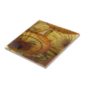 唐紙パラソルの傘のアクセントのタイル タイル (側面)