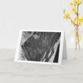 唐辛子の写真のBradenの銅山 カード (黄色い花)