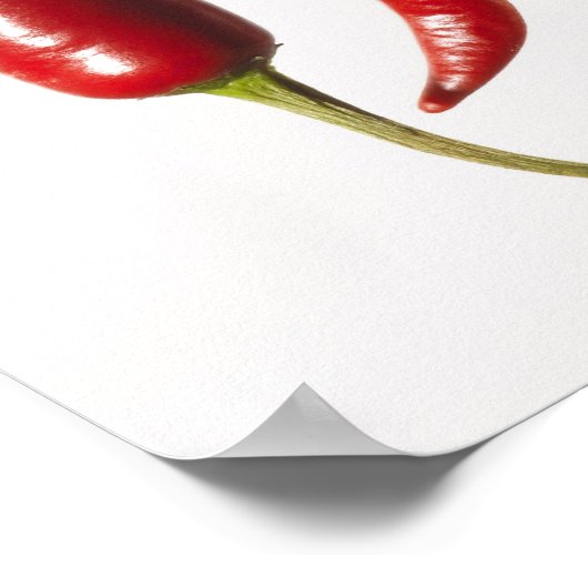 唐辛子の列 ポスター (角)