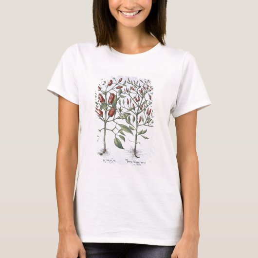 唐辛子の植物、'Hortus Eystettensiから Tシャツ (正面)