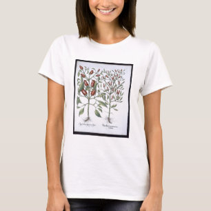 唐辛子の植物、'Hortus Eystettensiから Tシャツ