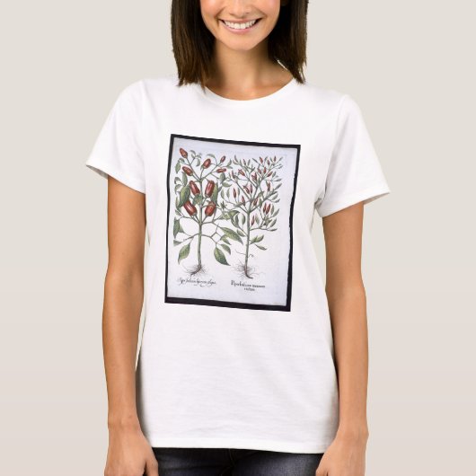 唐辛子の植物、'Hortus Eystettensiから Tシャツ (正面)