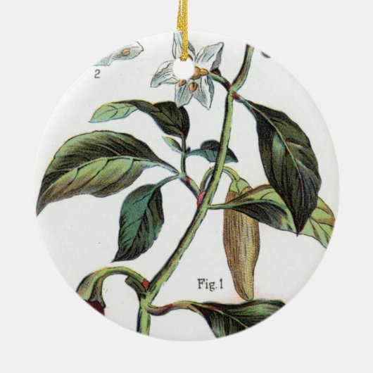 唐辛子の花 セラミックオーナメント (裏面)