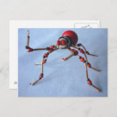 唐辛子クモ ポストカード (正面/裏面)