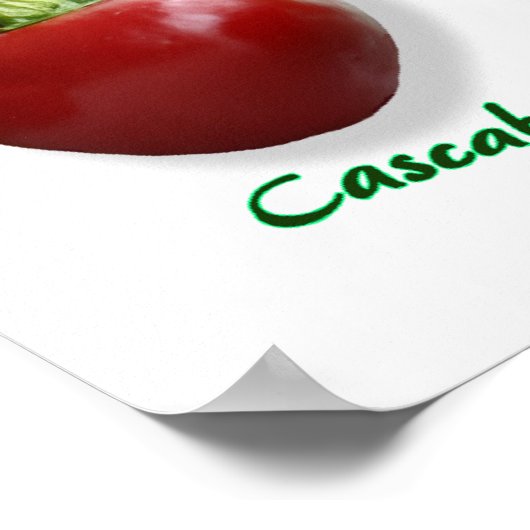 唐辛子品種 ポスター (角)