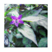 唐辛子紫色の装飾花 タイル (正面)