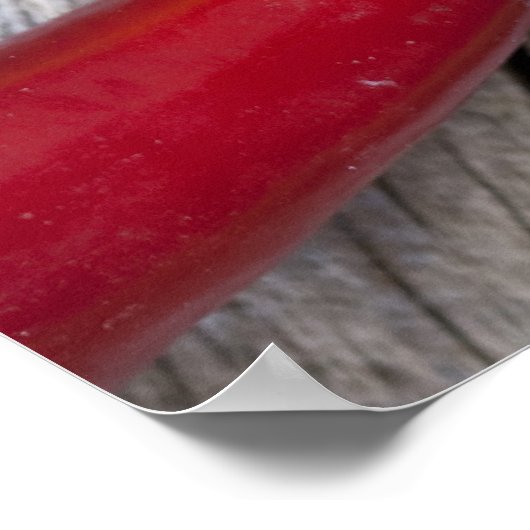 唐辛子 ポスター (角)