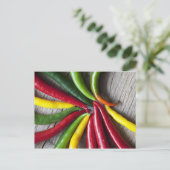 唐辛子 ポストカード (スタンド正面)