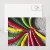 唐辛子 ポストカード (正面/裏面)