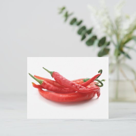 唐辛子 ポストカード (スタンド正面)