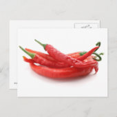 唐辛子 ポストカード (正面/裏面)