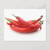 唐辛子 ポストカード (正面)