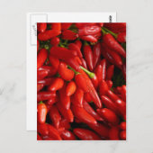 唐辛子 ポストカード (正面/裏面)