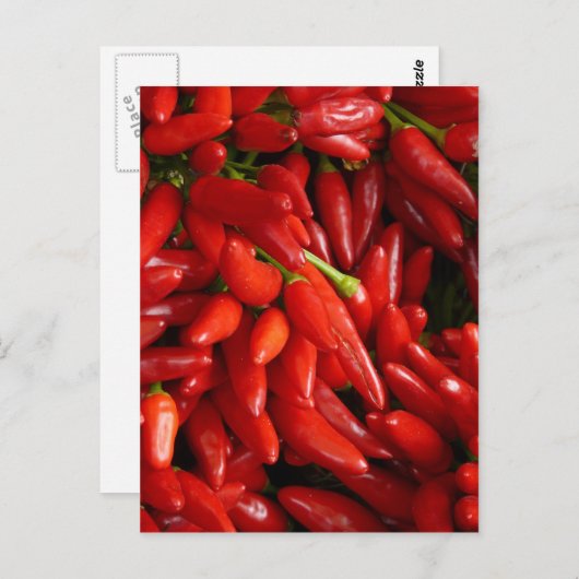 唐辛子 ポストカード (正面/裏面)