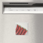 唐辛子 マグネット (インサイチュ (食洗機))