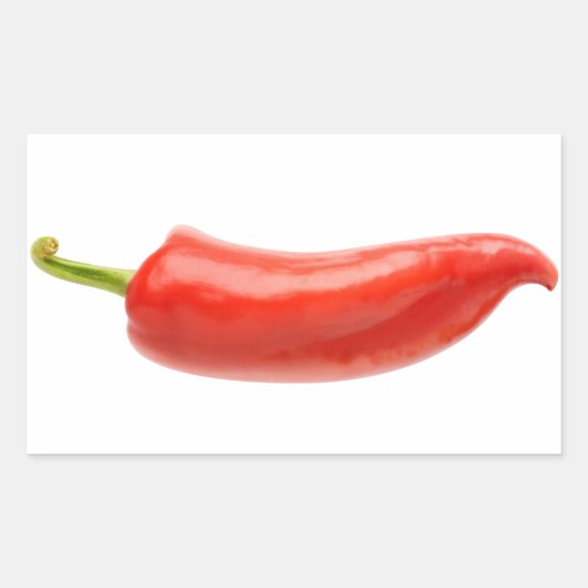 唐辛子 長方形シール (正面)