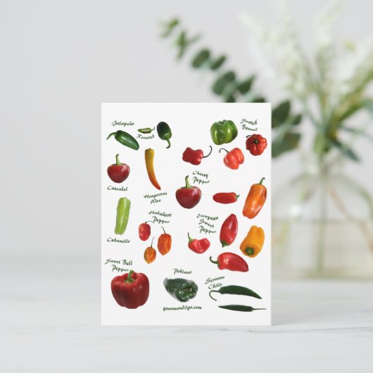 唐辛子ID ポストカード (スタンド正面)