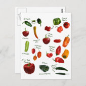 唐辛子ID ポストカード (正面/裏面)