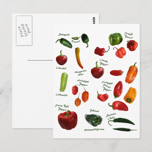 唐辛子ID ポストカード (正面/裏面)