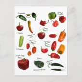 唐辛子ID ポストカード (正面)