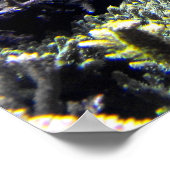 唐魚王室のと黄唐魚 ポスター (角)