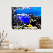 唐魚王室のと黄唐魚 ポスター (キッチン)