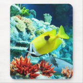 唐 マウスパッド (正面)