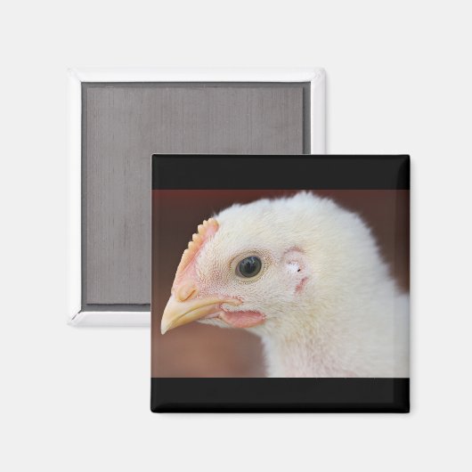 唯一の女 マグネット (正面/裏面)