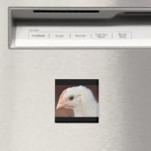 唯一の女 マグネット (インサイチュ (食洗機))